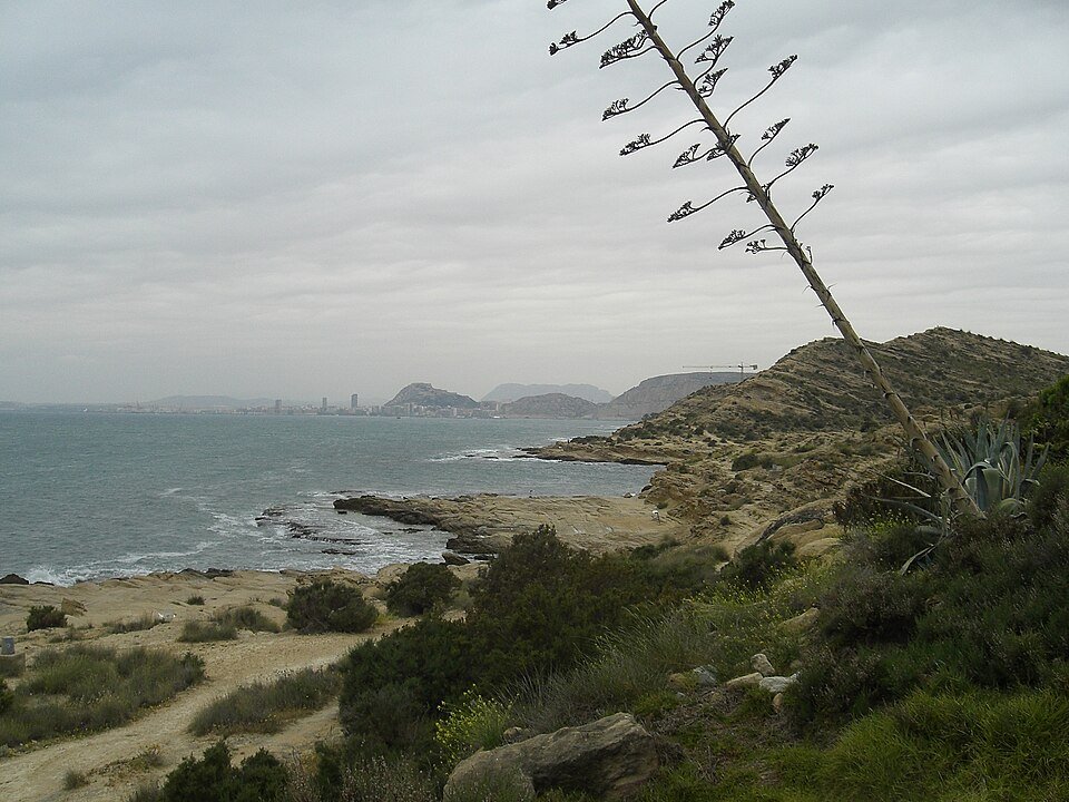 Cerrajero en Cabo de las Huertas — Servicio Urgente 24 Horas